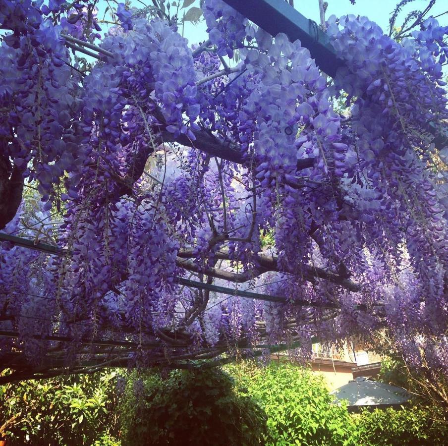 Hotel Il Giardino Nel Parco R&B Boloňa Exteriér fotografie