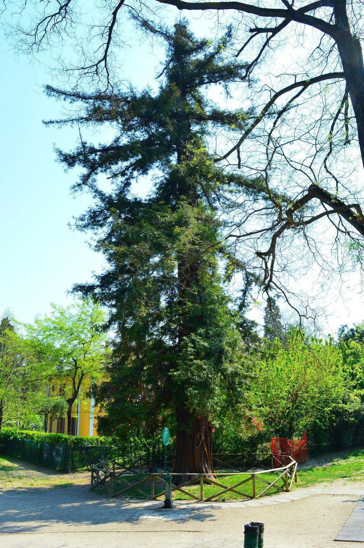 Hotel Il Giardino Nel Parco R&B Boloňa Exteriér fotografie